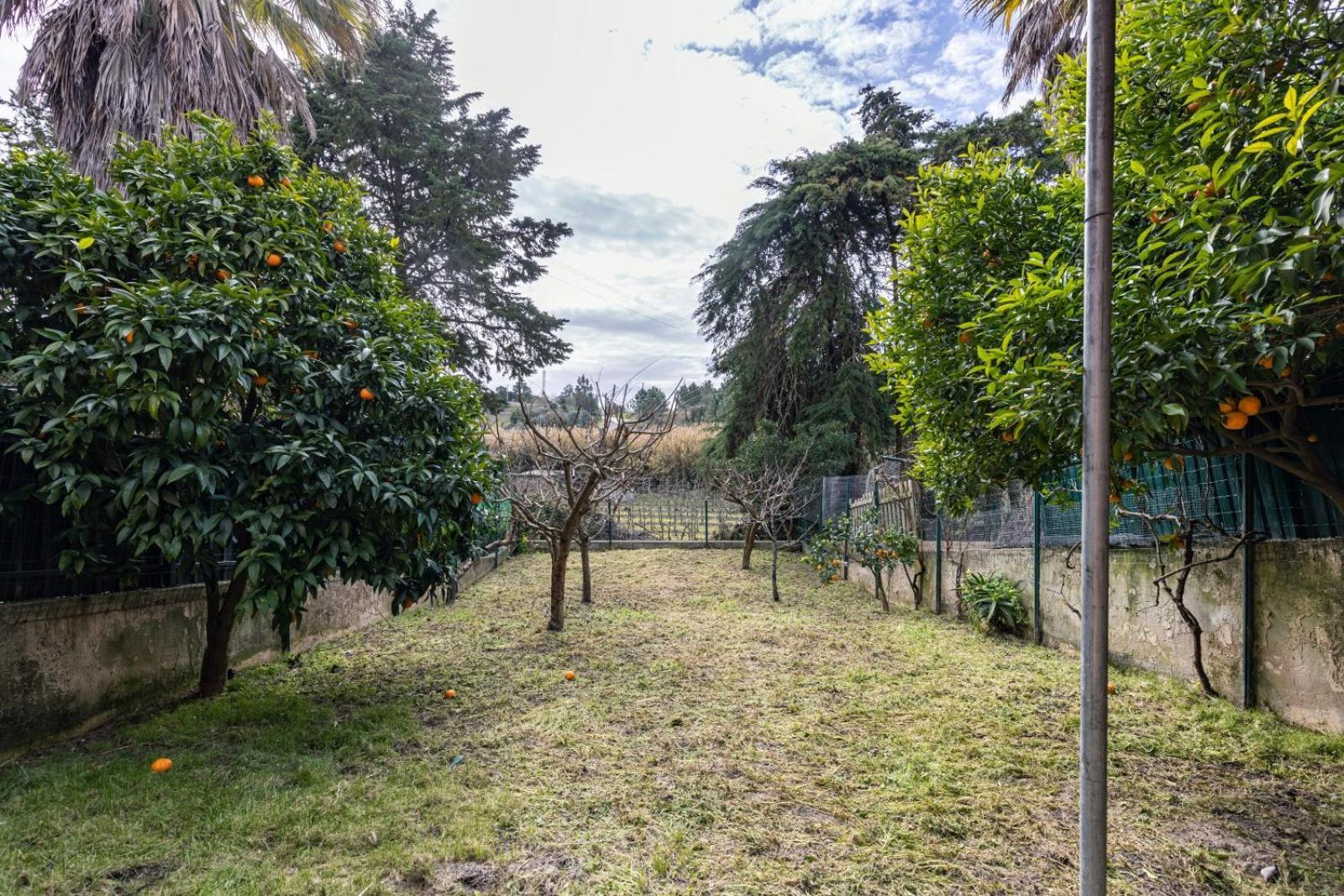 Hidden Garden Near The Castle Villa Óbidos Екстериор снимка
