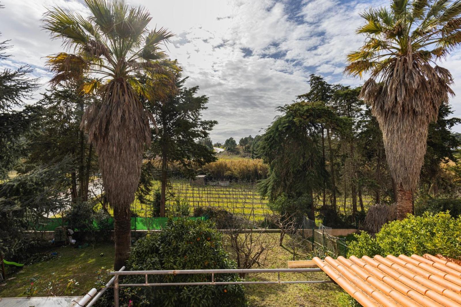 Hidden Garden Near The Castle Villa Óbidos Екстериор снимка